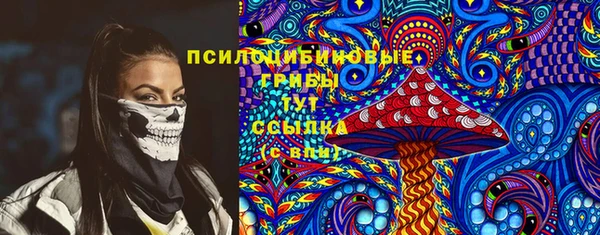 2c-b Зеленодольск