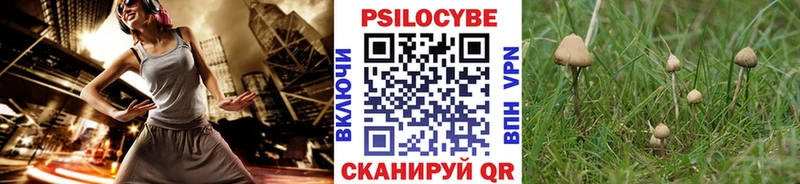 Купить закладки  Волгодонск  Галлюциногенные грибы Psilocybe 